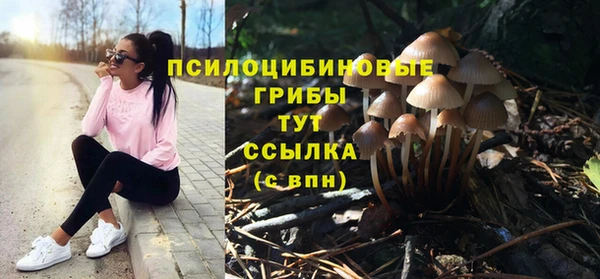 кристаллы Покровск