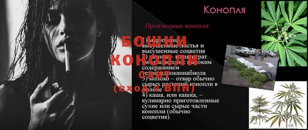 СК Абинск