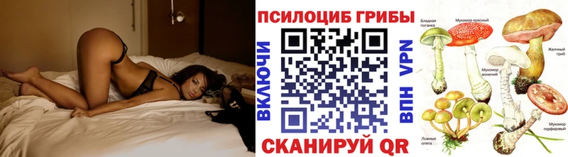 Галлюциногенные грибы Psilocybe  нарко площадка какой сайт  Карталы 