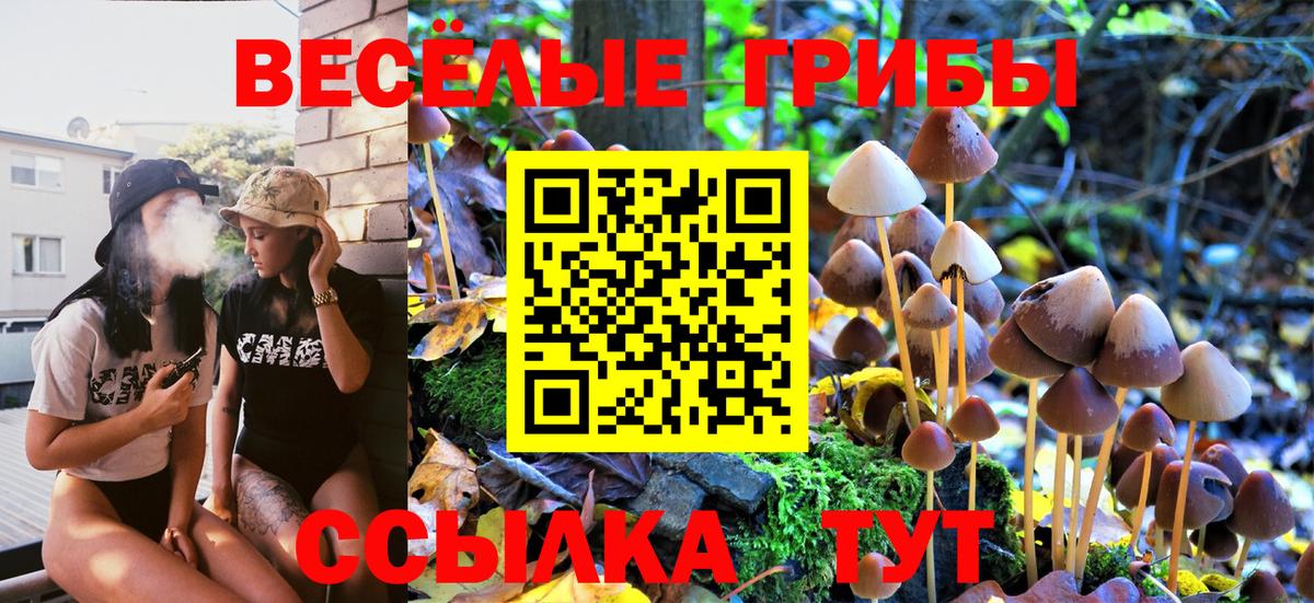 Карталы  Псилоцибиновые грибы MAGIC MUSHROOMS  Вход с VPN  Галлюциногенные грибы Psilocybine cubensis 