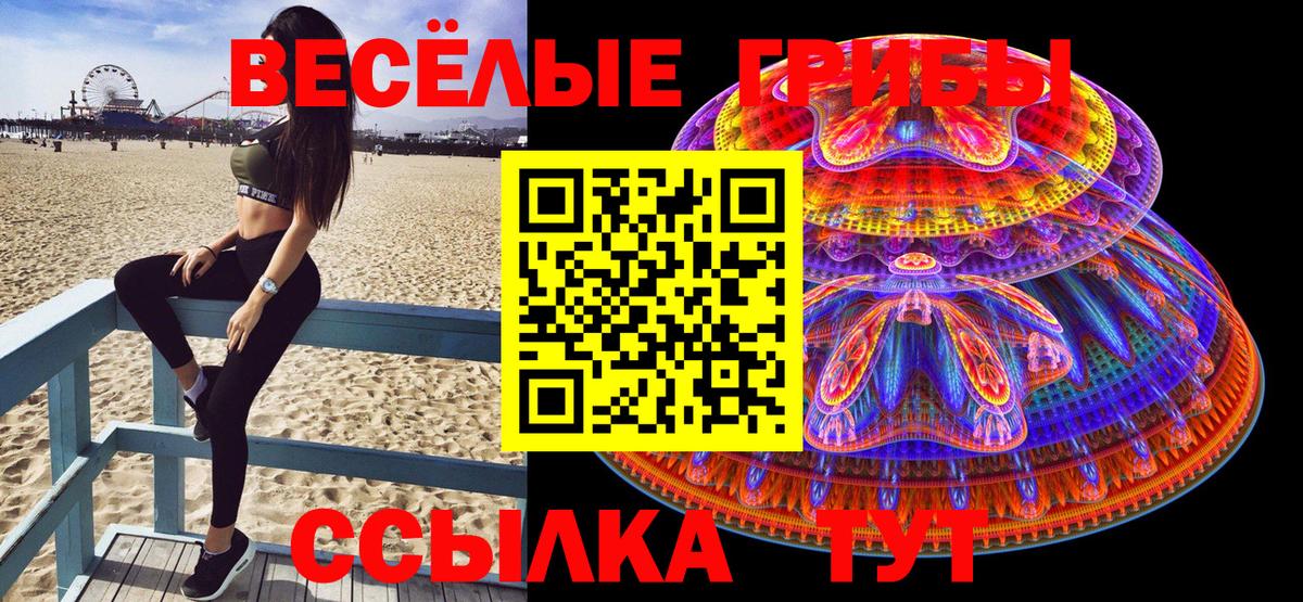 Псилоцибиновые грибы Psilocybe Карталы